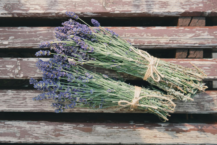 Lovely Lavendel