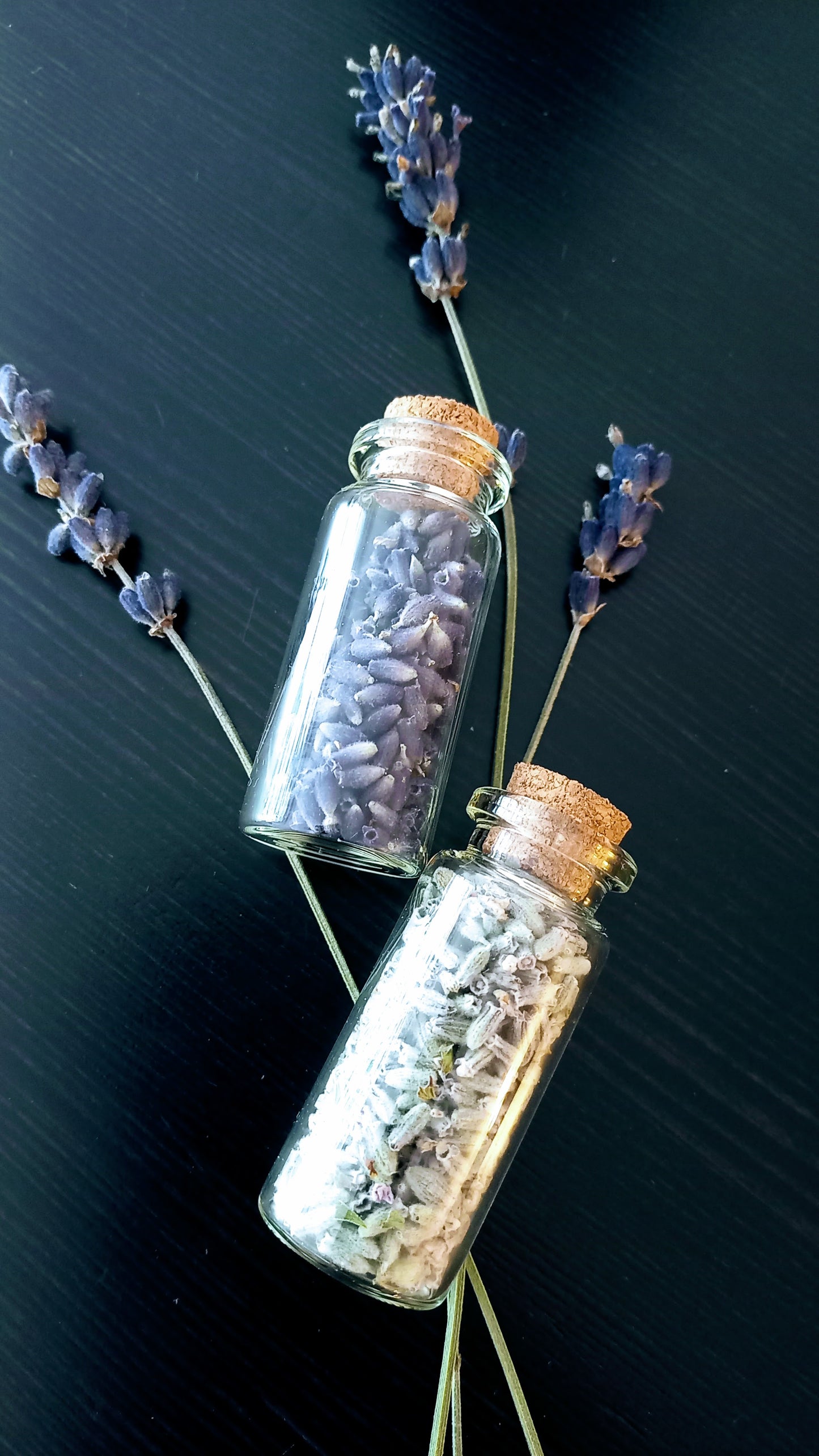 Lavendel to go - tiefblau