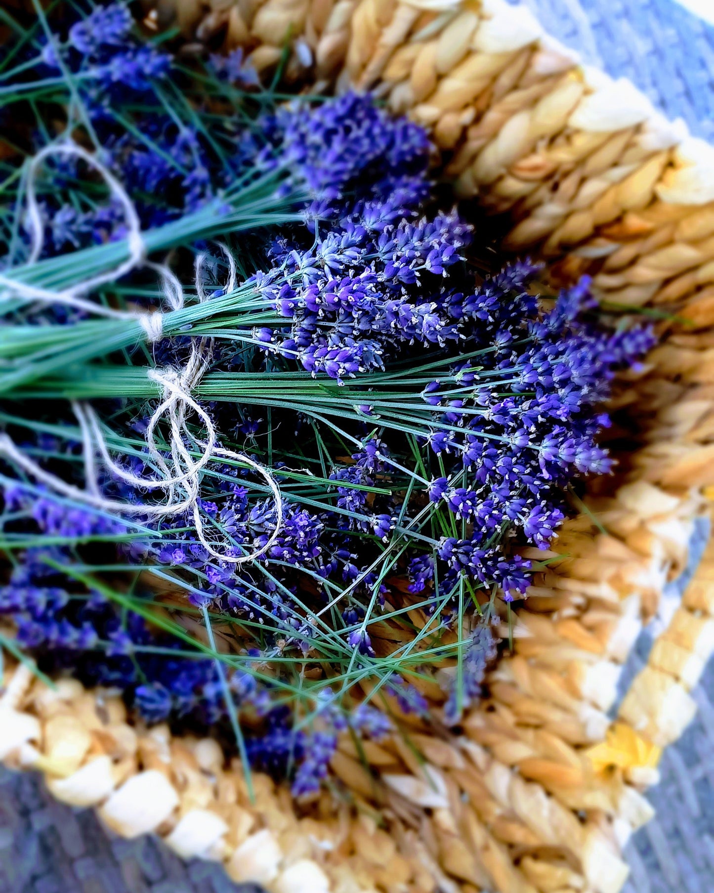 Lavendel to go