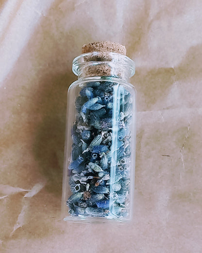 Lavendel to go