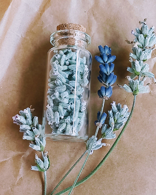 Lavendel to go - weiß