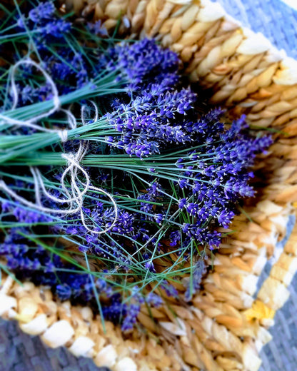 Lavendel to go - weiß