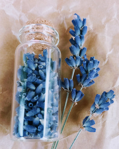 Lavendel to go - tiefblau