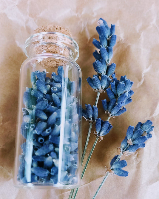 Lavendel to go - tiefblau